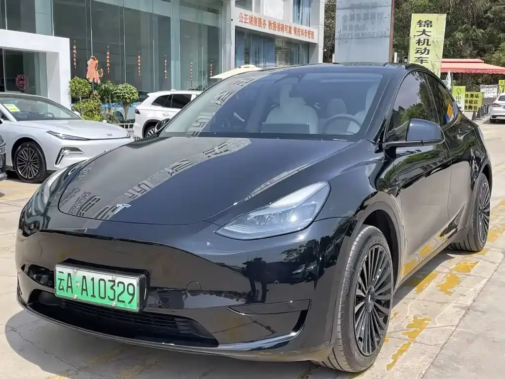 Tesla Model Y — фото 1