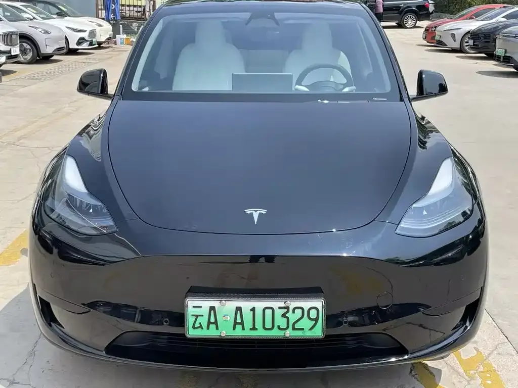Tesla Model Y — фото 7