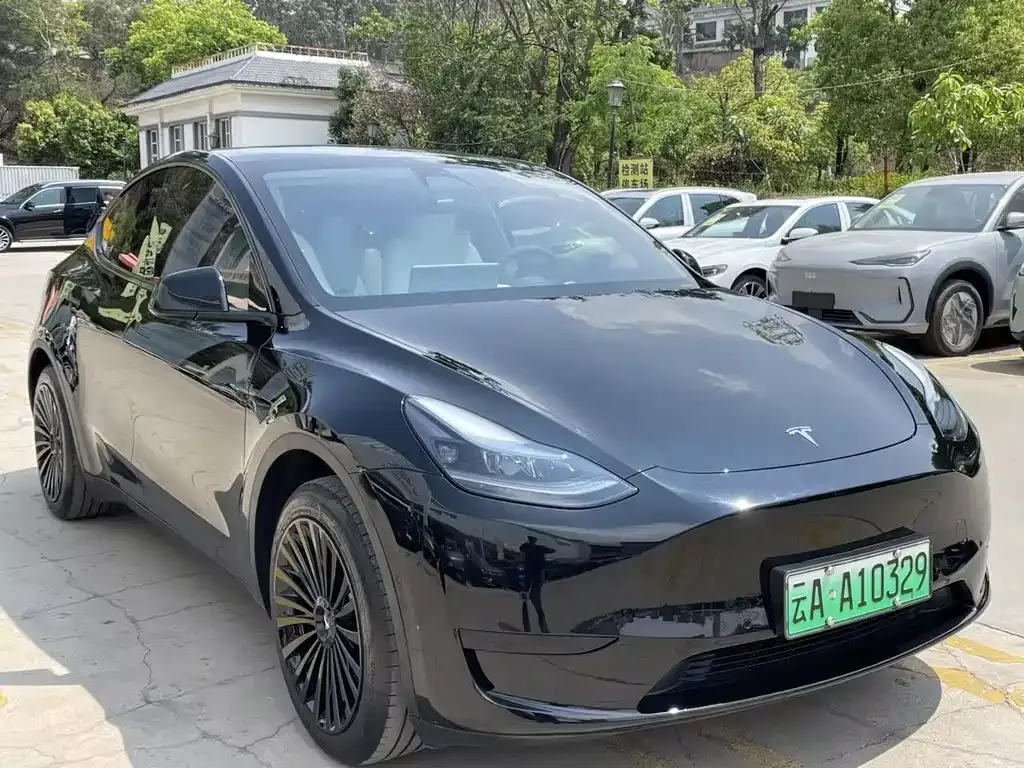 Tesla Model Y — фото 8