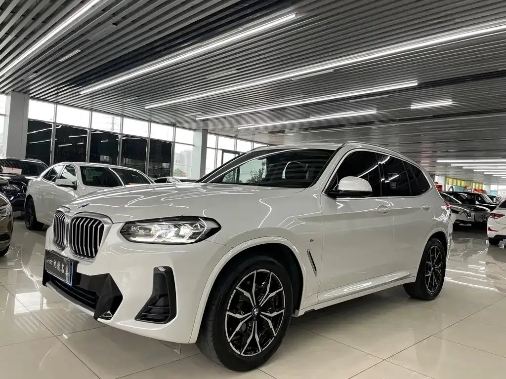 BMW X3 — фото 1