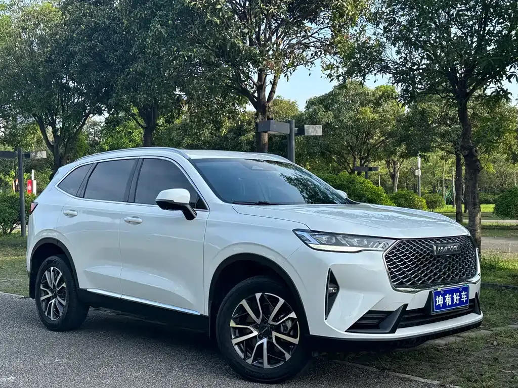 Haval H6 2023 из CN, фото 9