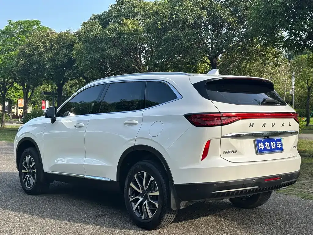Haval H6 2023 из CN, фото 10