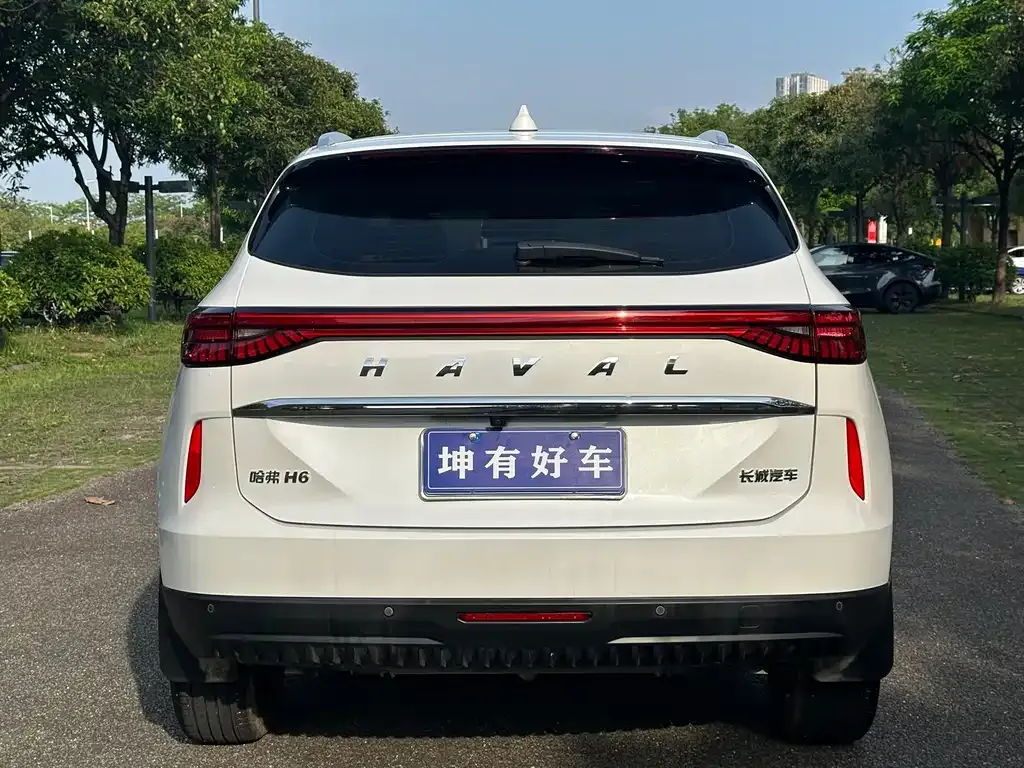 Haval H6 2023 из CN, фото 6