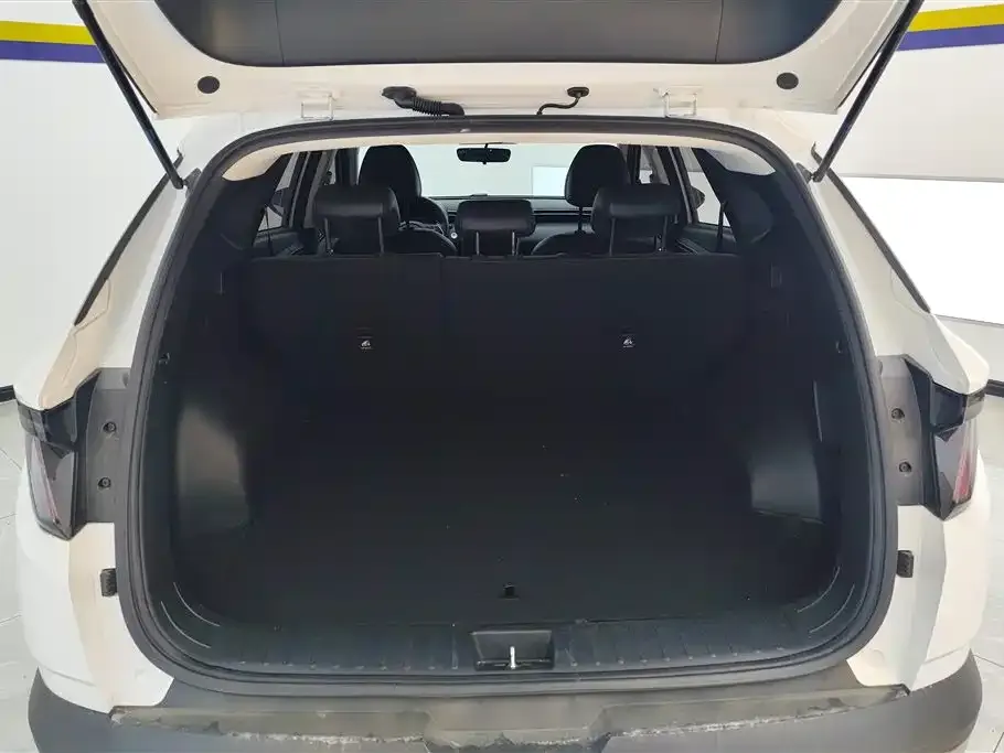 Hyundai Tucson 2024 из CN, фото 2