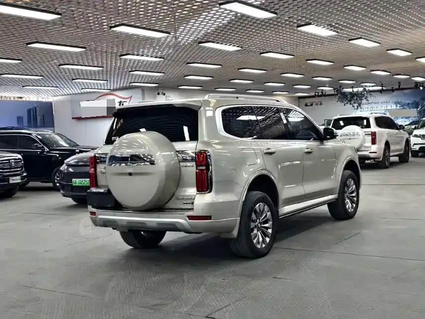 Tank 500 New Energy 2024 из CN, фото 6