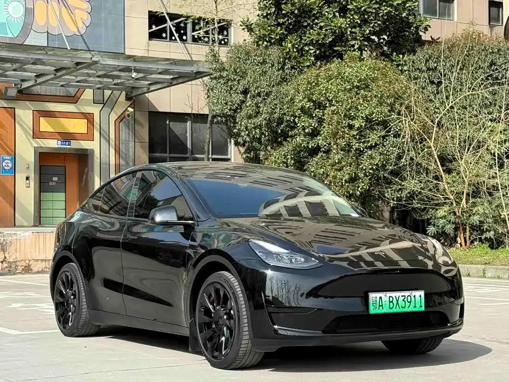 Tesla Model Y — фото 7