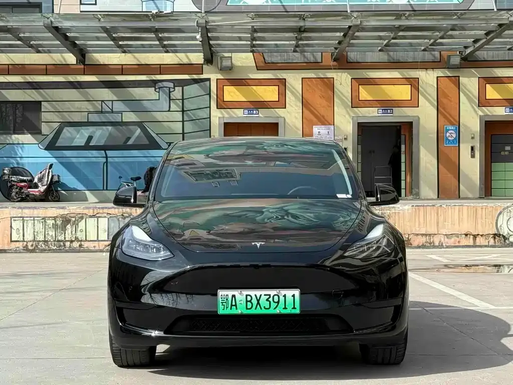 Tesla Model Y — фото 4