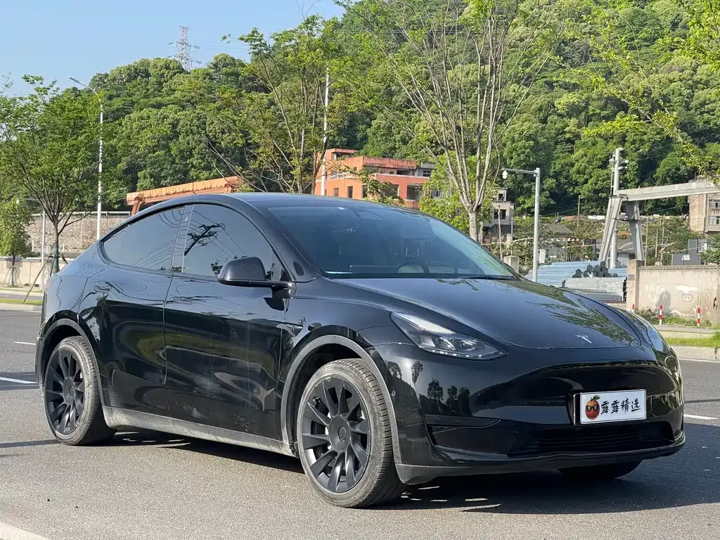 Tesla Model Y 2022 из CN, фото 1