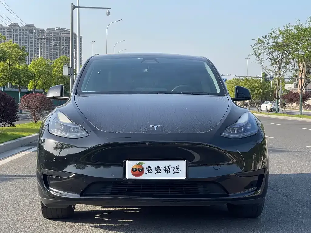 Tesla Model Y 2022 из CN, фото 6