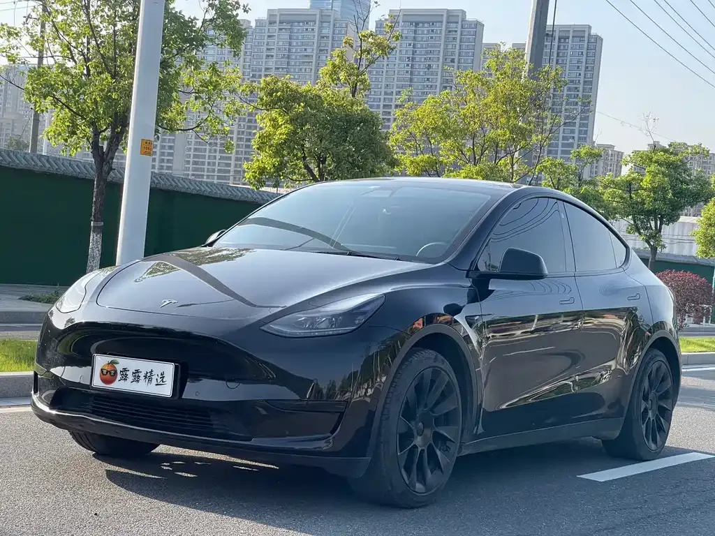 Tesla Model Y 2022 из CN, фото 10