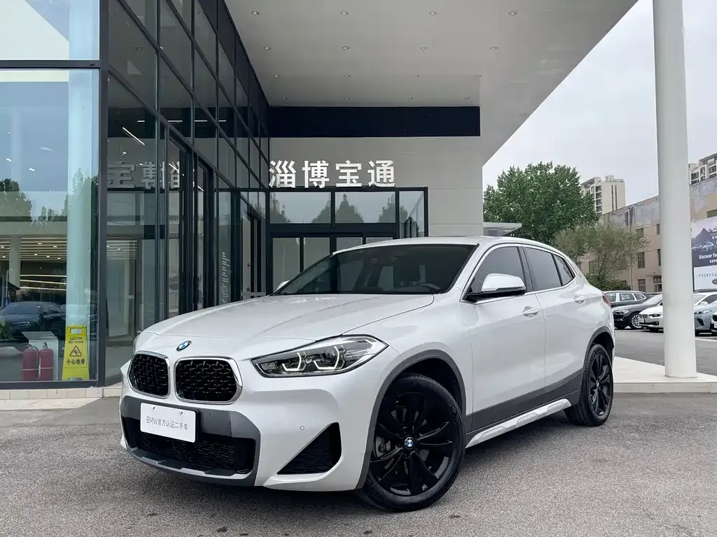 BMW X2 2023 из CN, фото 9