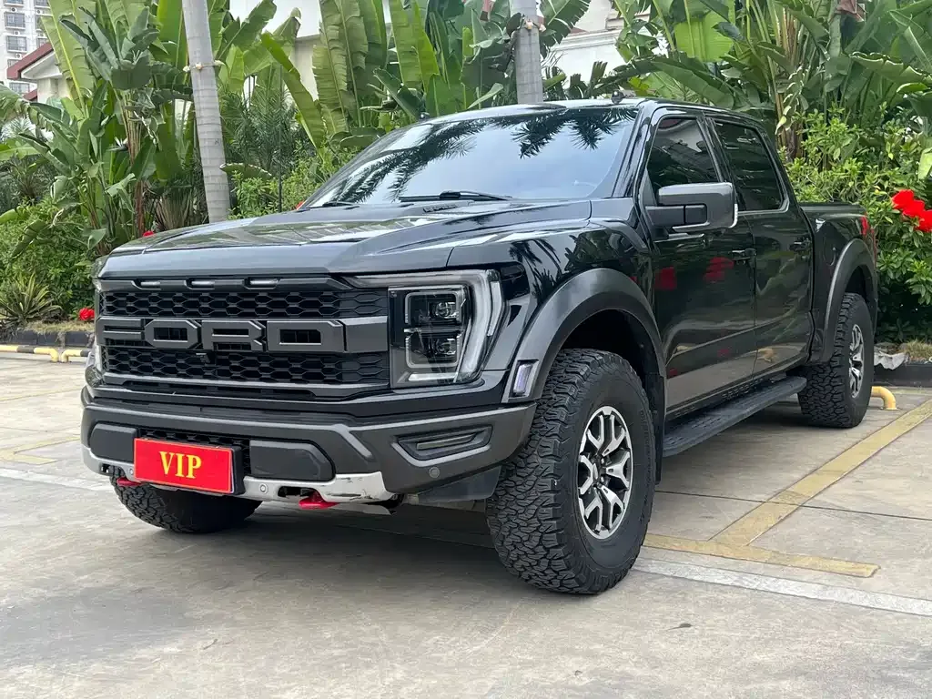 Ford F-150 Raptor 2023 из CN, фото 1