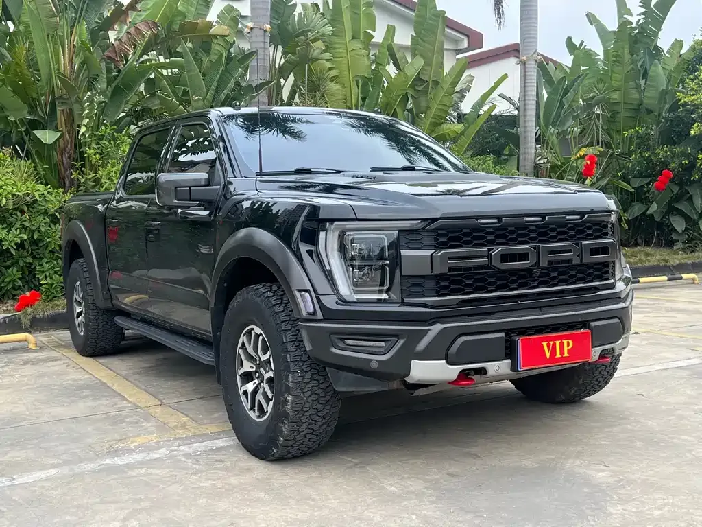 Ford F-150 Raptor 2023 из CN, фото 9
