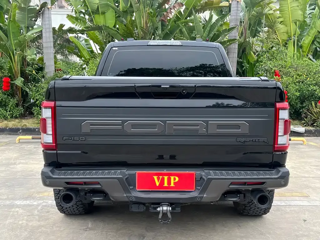 Ford F-150 Raptor 2023 из CN, фото 10