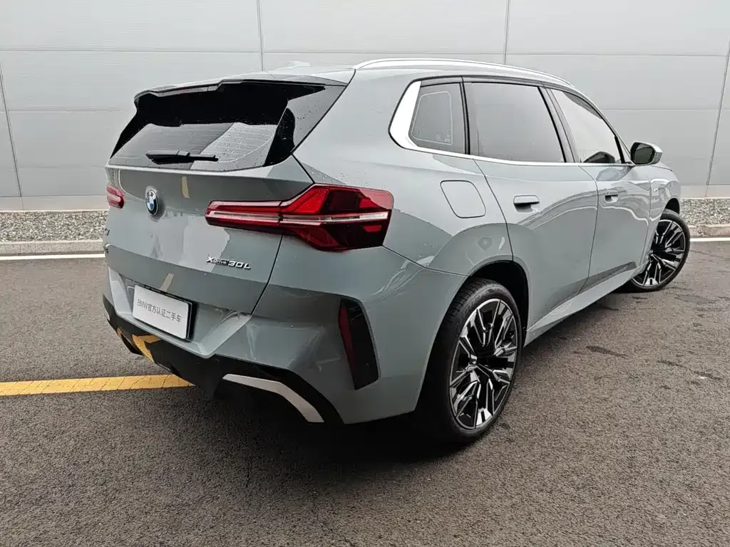 BMW X3 2025 из CN, фото 6