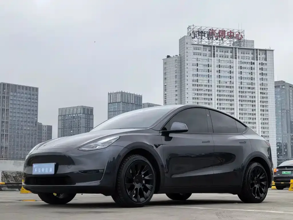 Tesla Model Y — фото 1