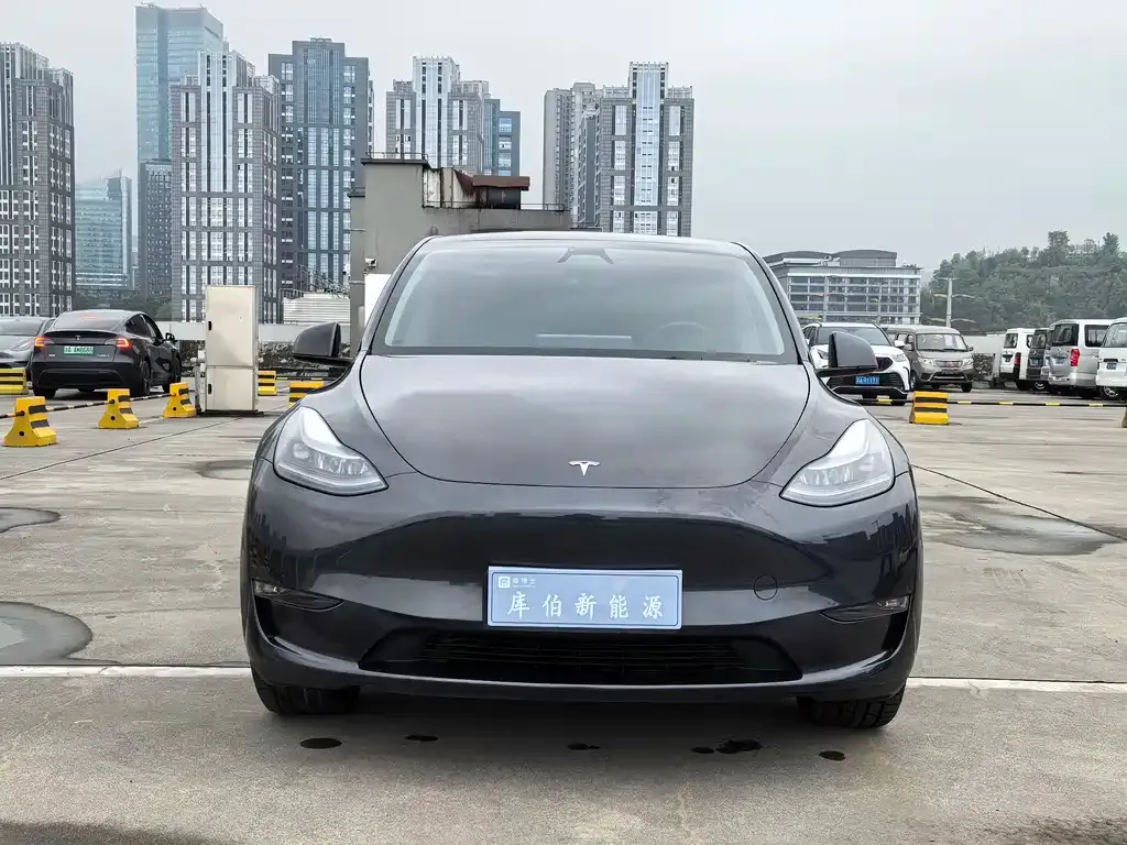 Tesla Model Y — фото 8