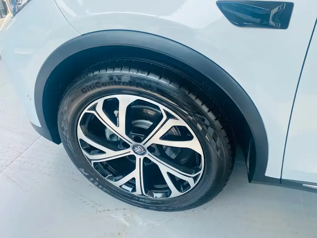 BYD Tang New Energy — фото 10