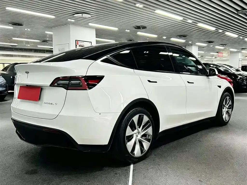 Tesla Model Y — фото 8
