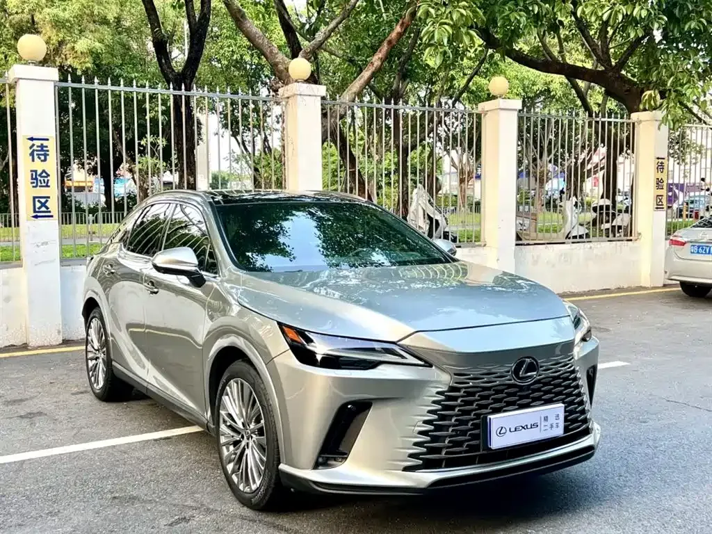 Lexus RX — фото 10