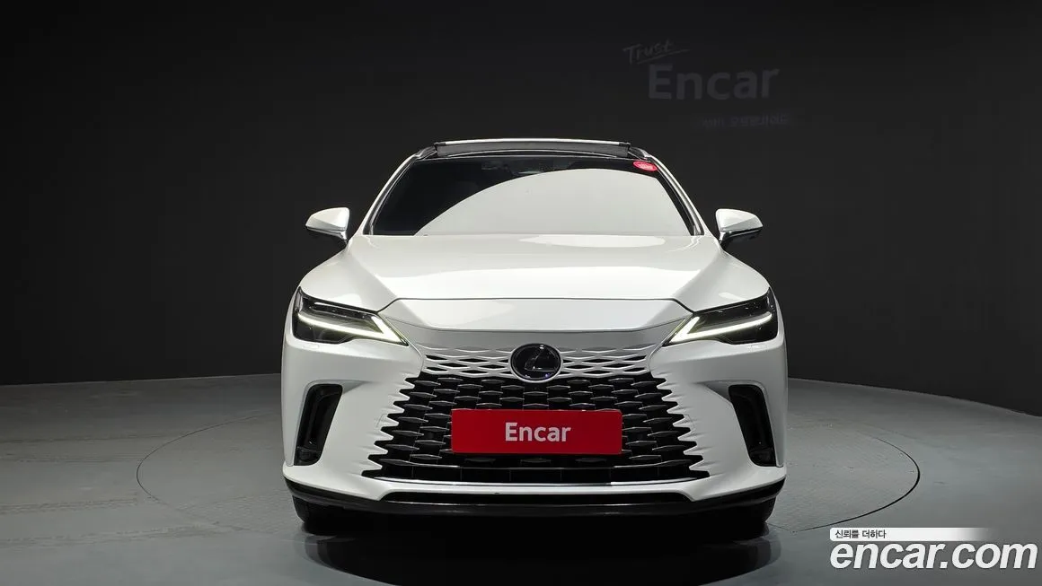 Lexus RX 2024 из KR, фото 4