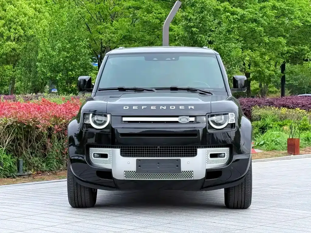 Land Rover Defender 2024 из CN, фото 4