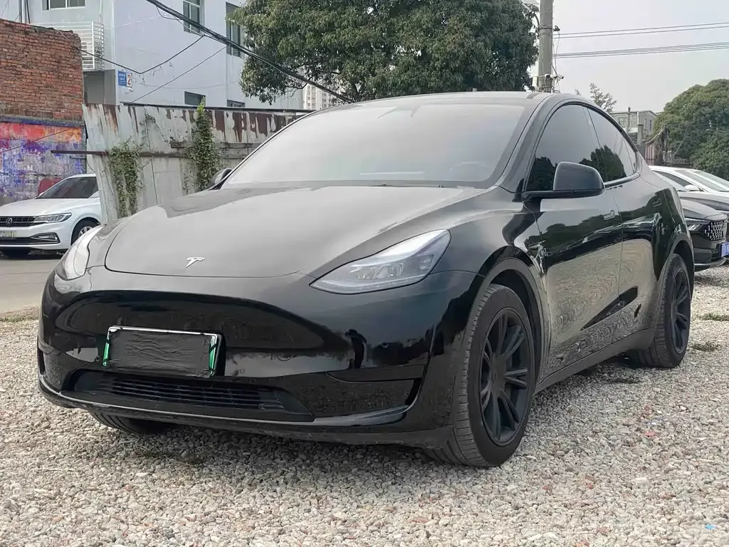 Tesla Model Y — фото 1