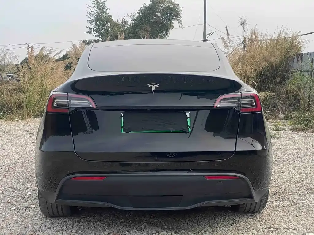 Tesla Model Y — фото 9