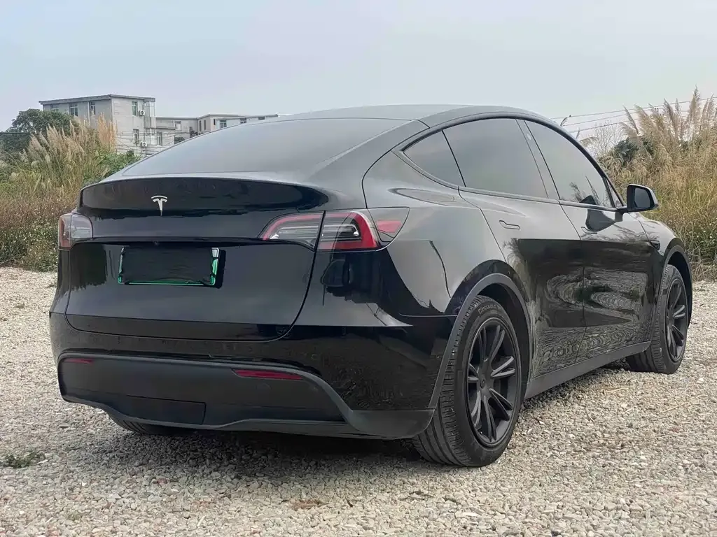 Tesla Model Y — фото 8