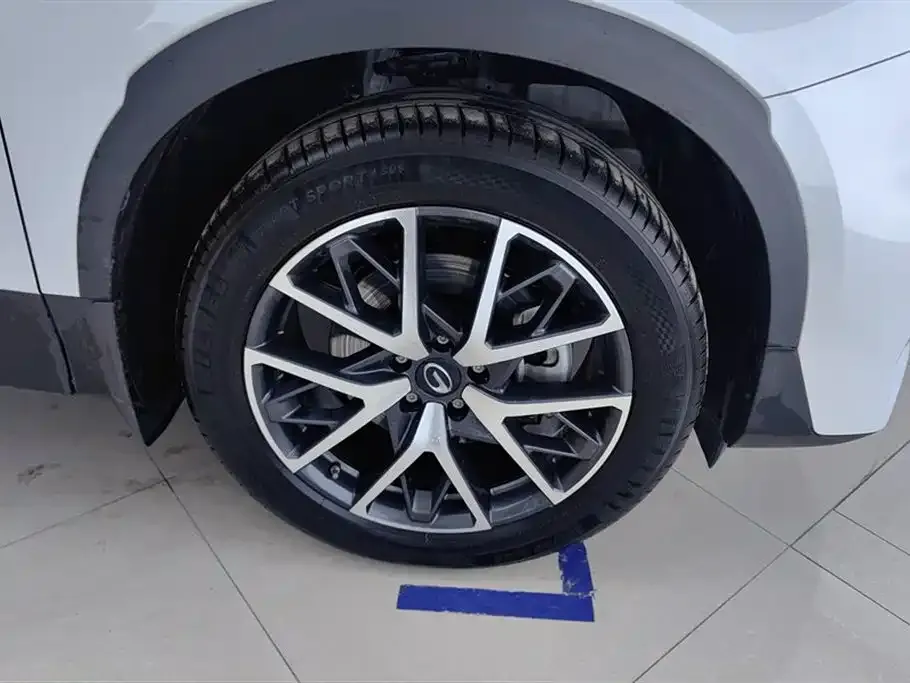 GAC Motor Trumpchi GS8 2024 из CN, фото 9