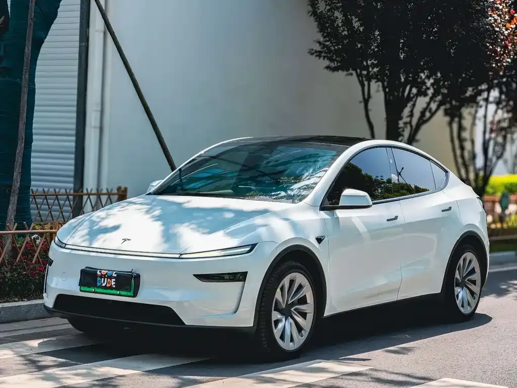 Tesla Model Y — фото 1