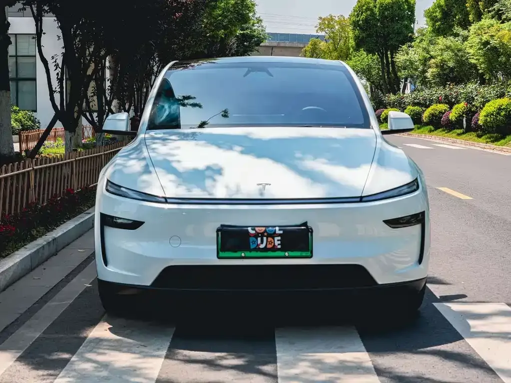 Tesla Model Y — фото 9