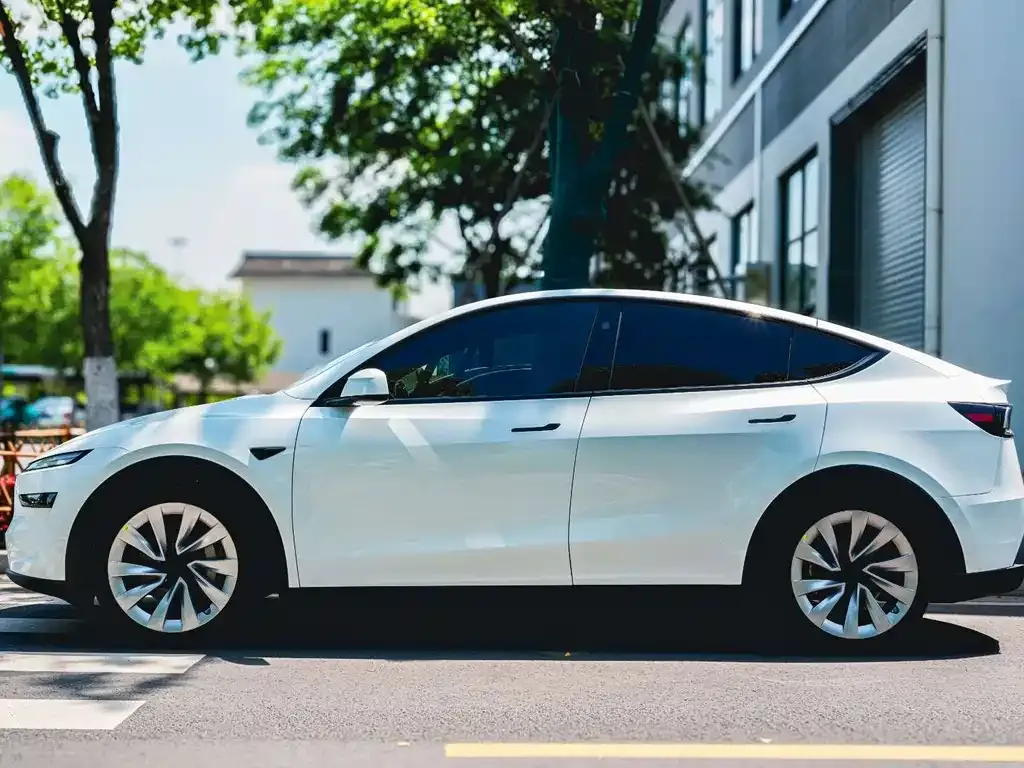 Tesla Model Y — фото 6