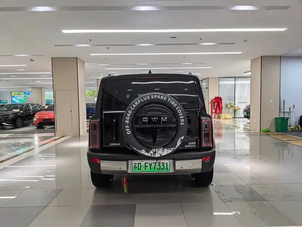 Haval Menglong New Energy — фото 10