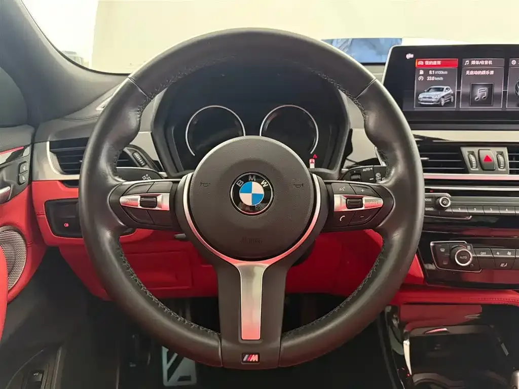 BMW X2 2021 из CN, фото 6