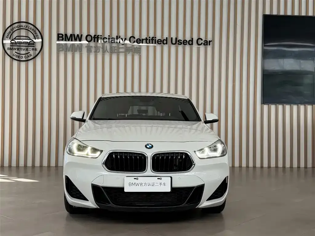 BMW X2 2021 из CN, фото 4