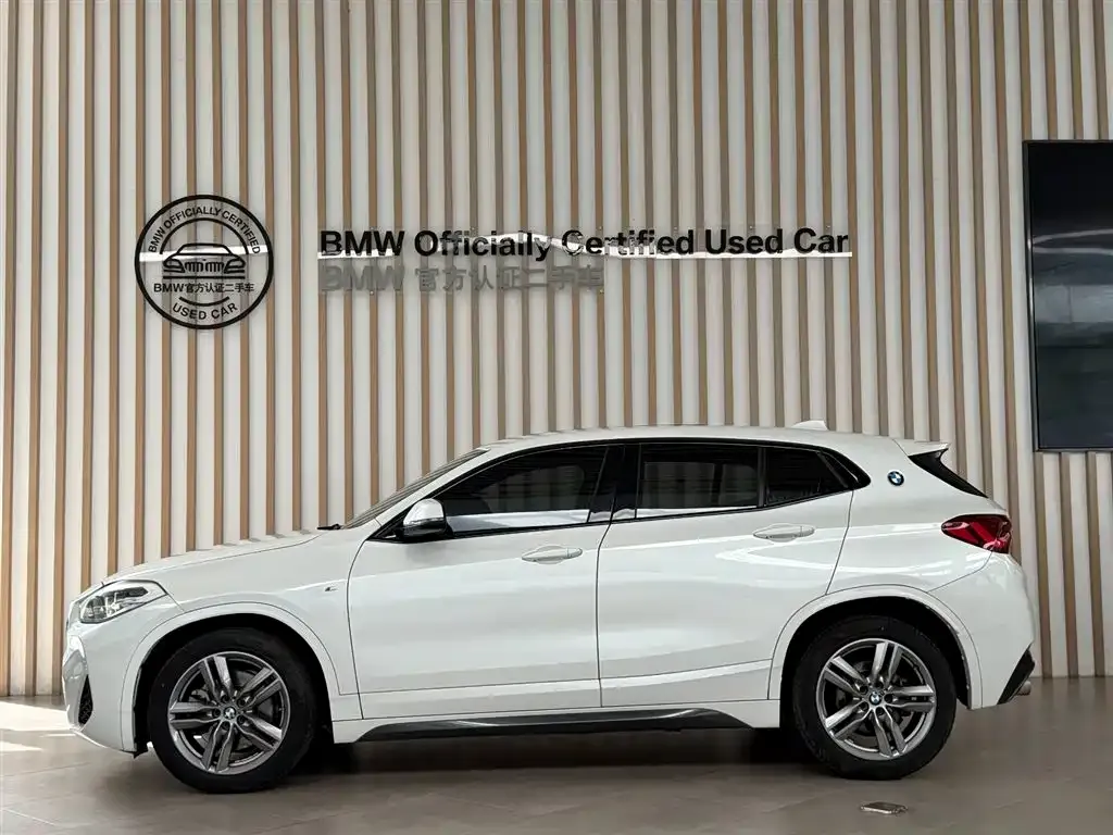 BMW X2 2021 из CN, фото 7