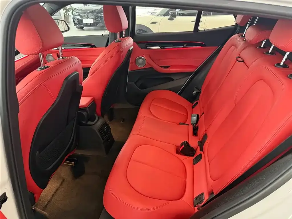 BMW X2 2021 из CN, фото 8