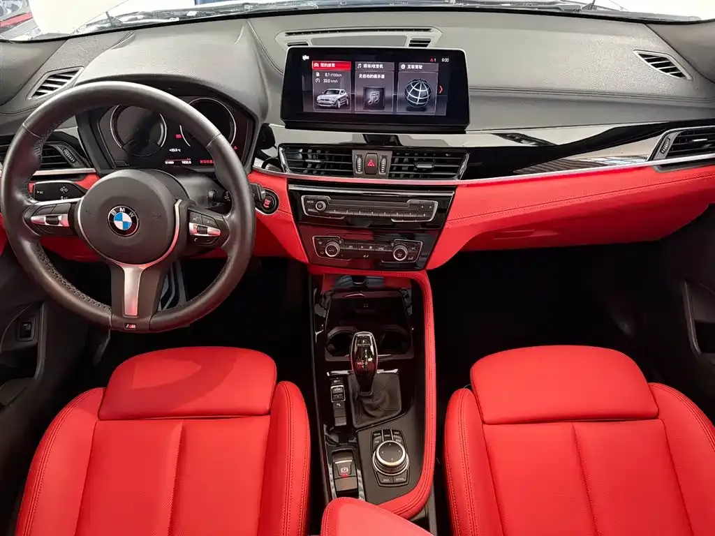 BMW X2 2021 из CN, фото 9