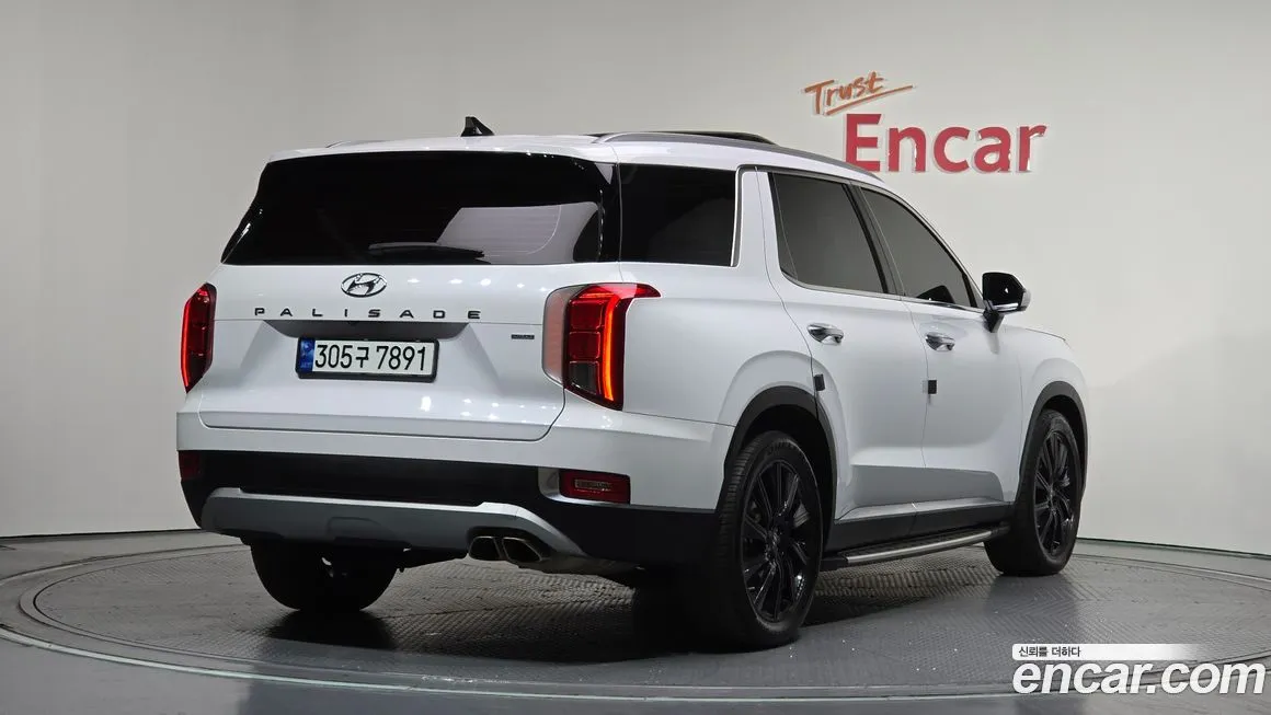 Hyundai Palisade — фото 8