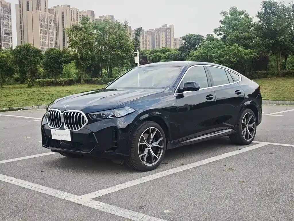 BMW X6 2025 из CN, фото 1