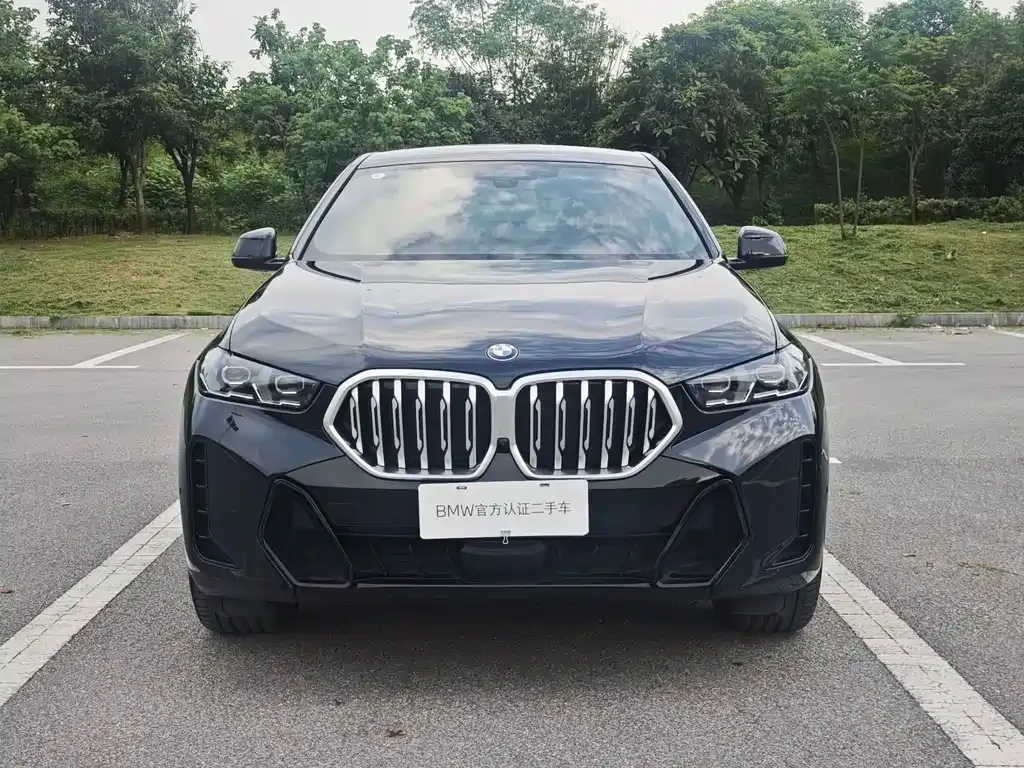 BMW X6 2025 из CN, фото 9
