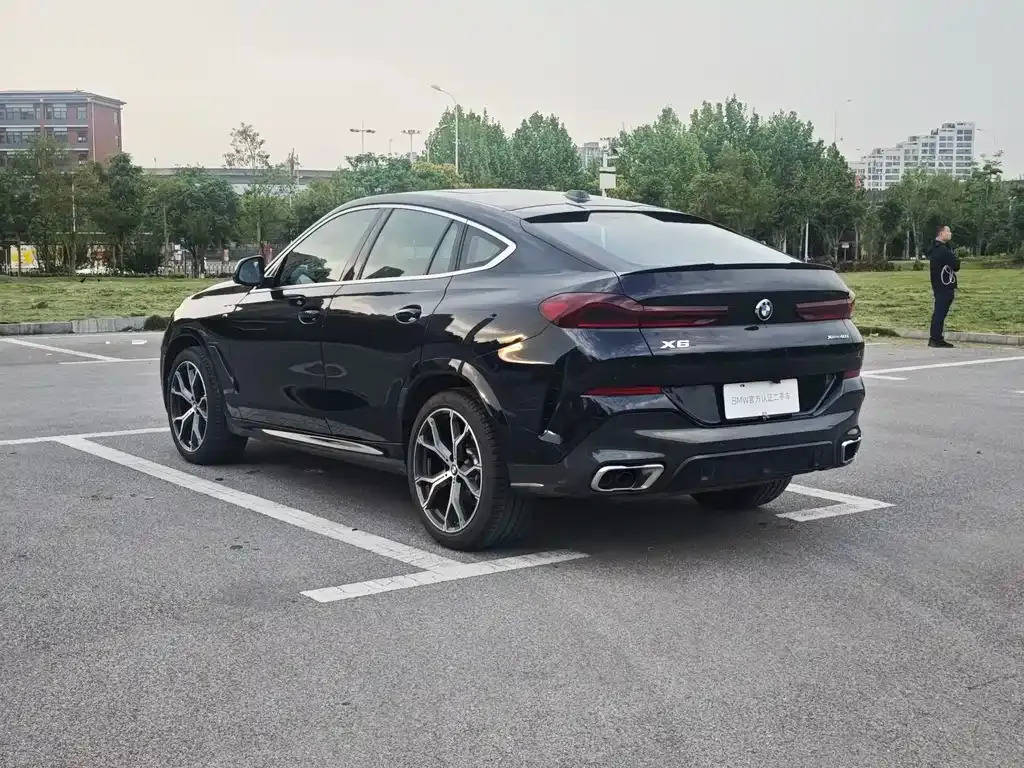BMW X6 2025 из CN, фото 10