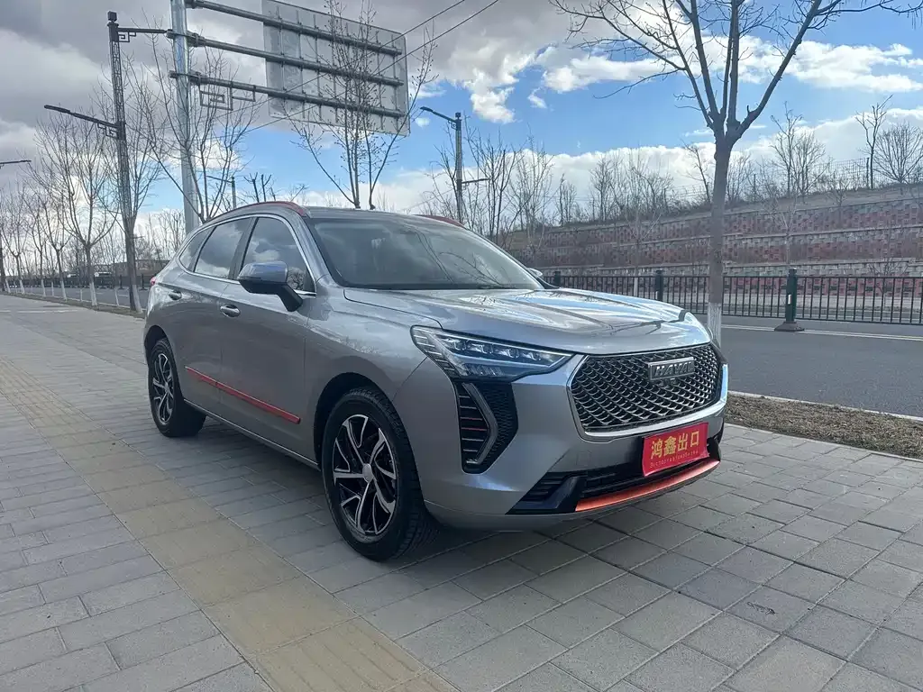 Haval Chulian 2021 из CN, фото 8
