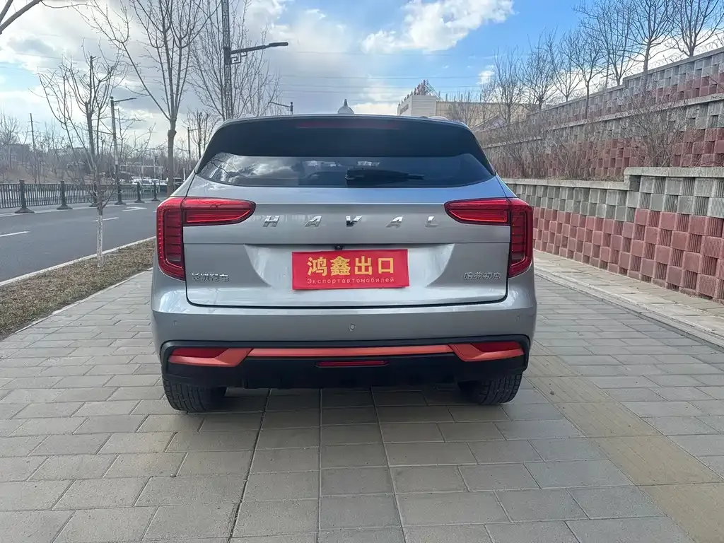 Haval Chulian 2021 из CN, фото 10