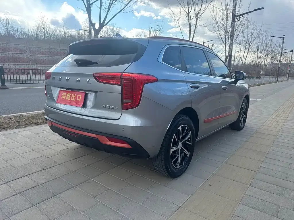 Haval Chulian 2021 из CN, фото 5