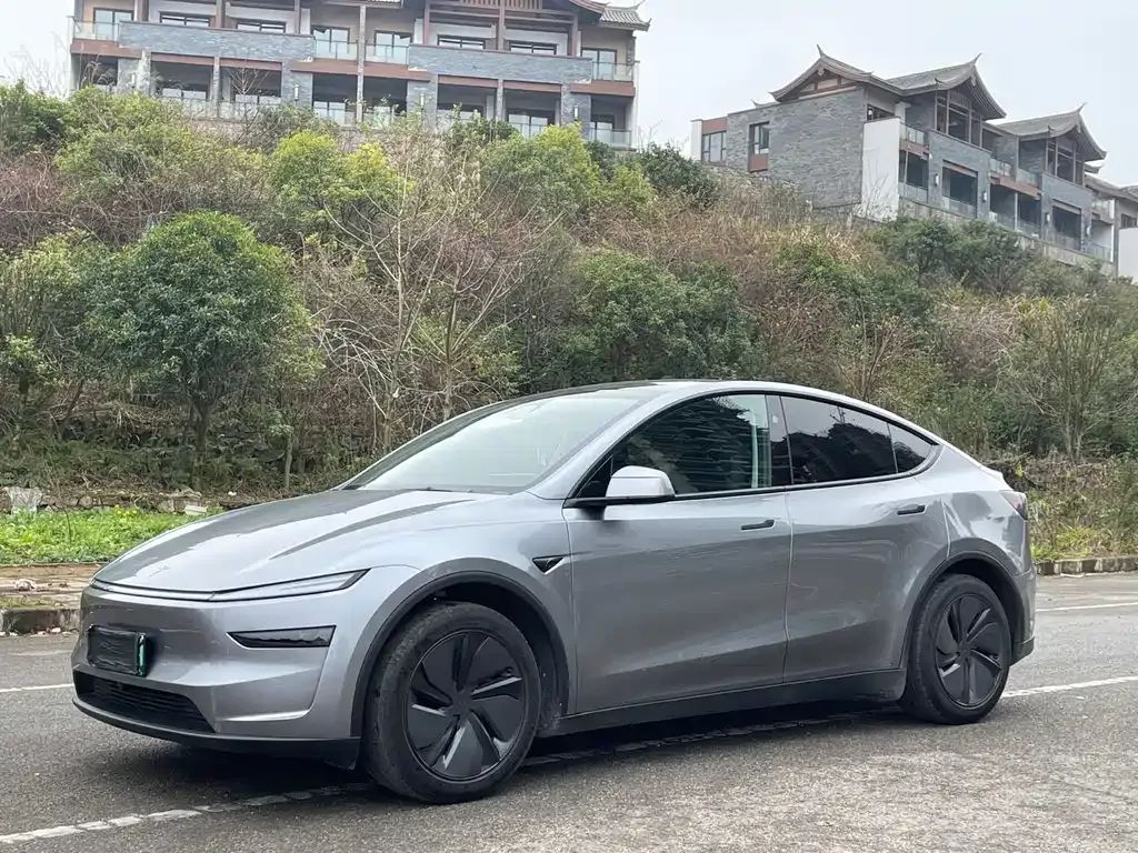 Tesla Model Y — фото 1