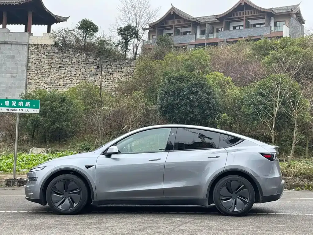 Tesla Model Y — фото 10