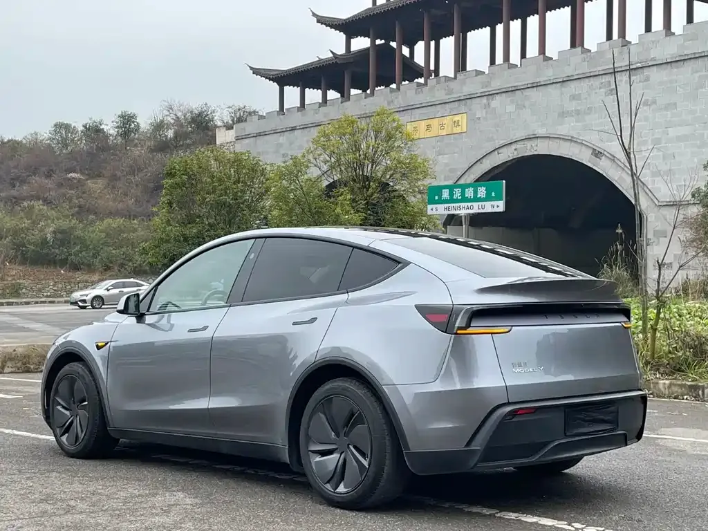 Tesla Model Y — фото 8