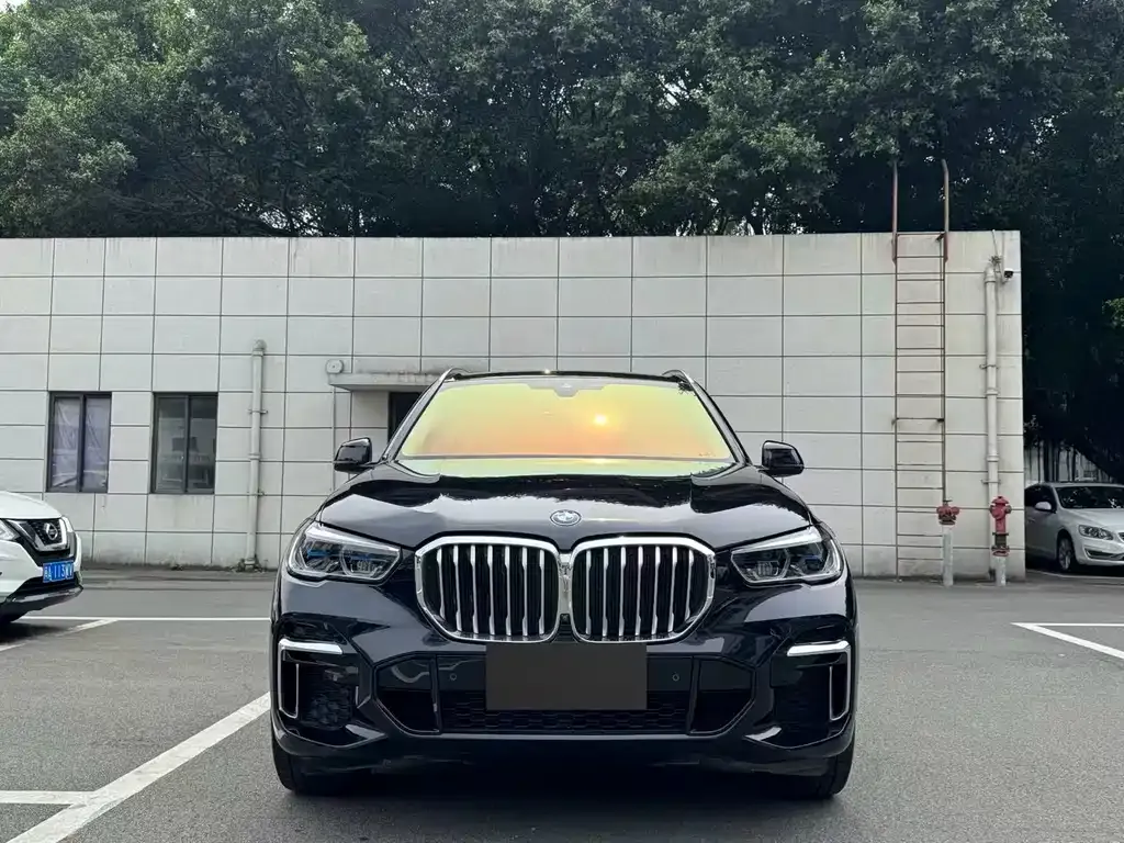 BMW X5 — фото 9
